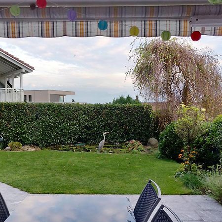 Hillside Homestay Near Luzern By Menbergs Harmony Homestay Hildisrieden Esterno foto