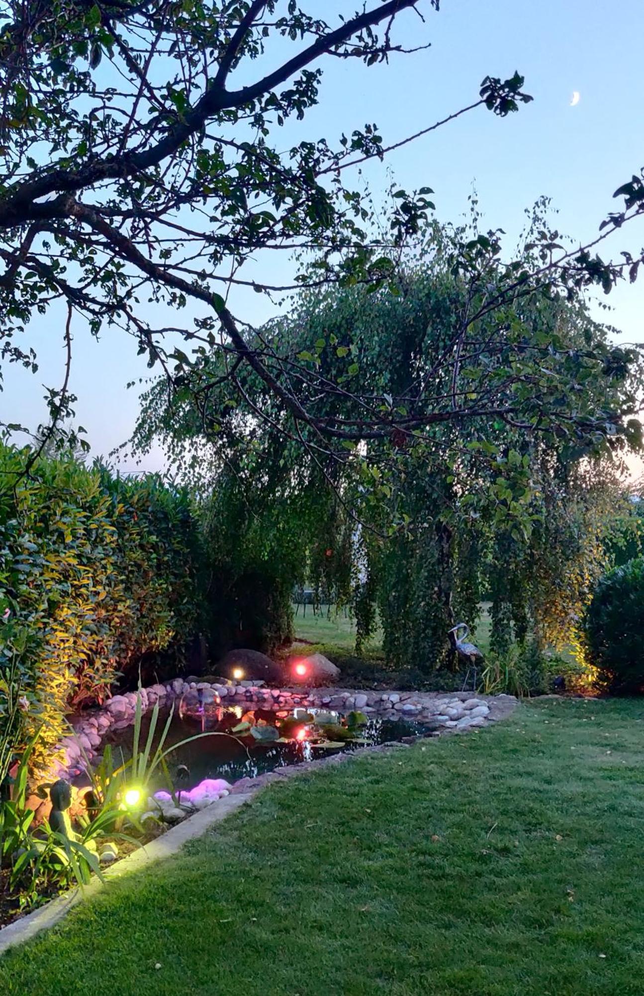 Hillside Homestay Near Luzern By Menbergs Harmony Homestay Hildisrieden Esterno foto